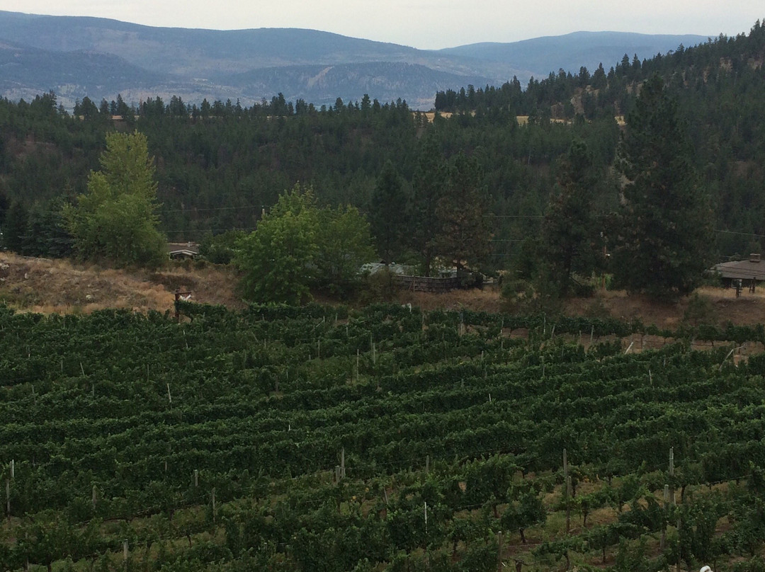 Wine Valley Tours-基洛纳必去景点