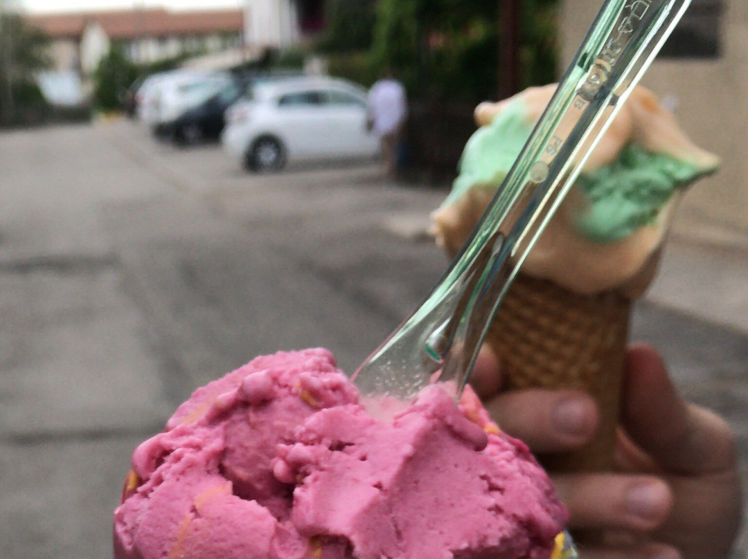 Il Gelato Di Menegazzo Nicola