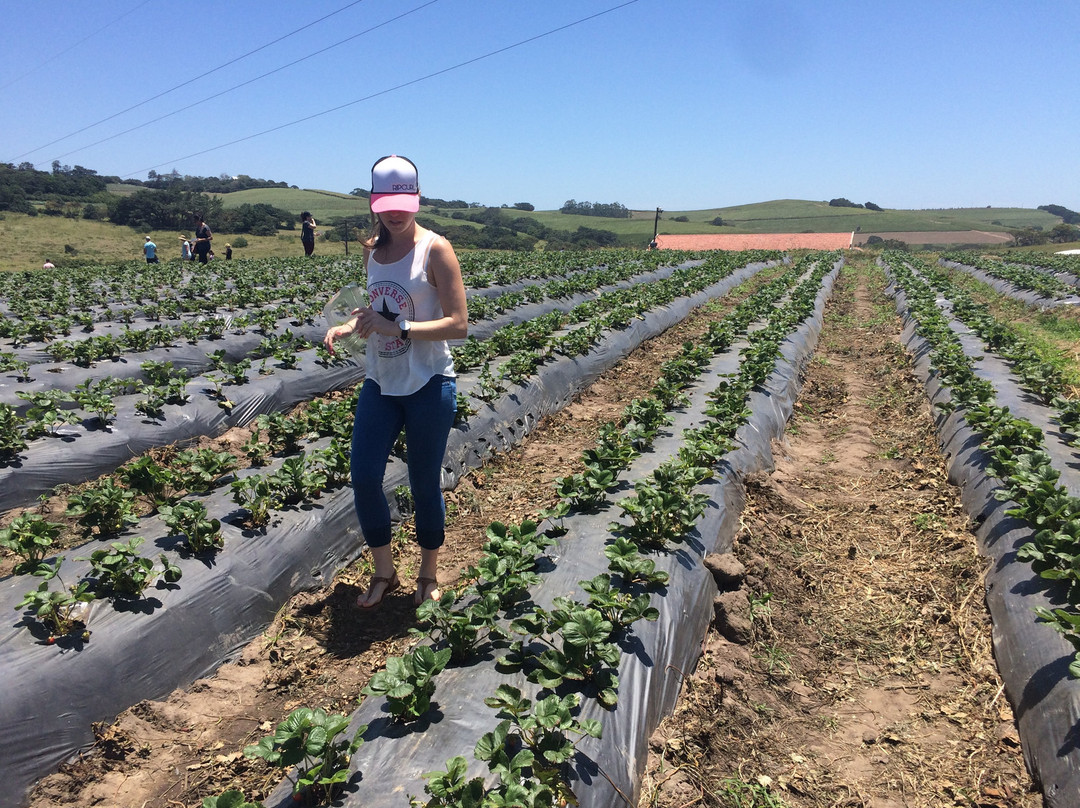 Cappeny Estate-巴利托必去景点
