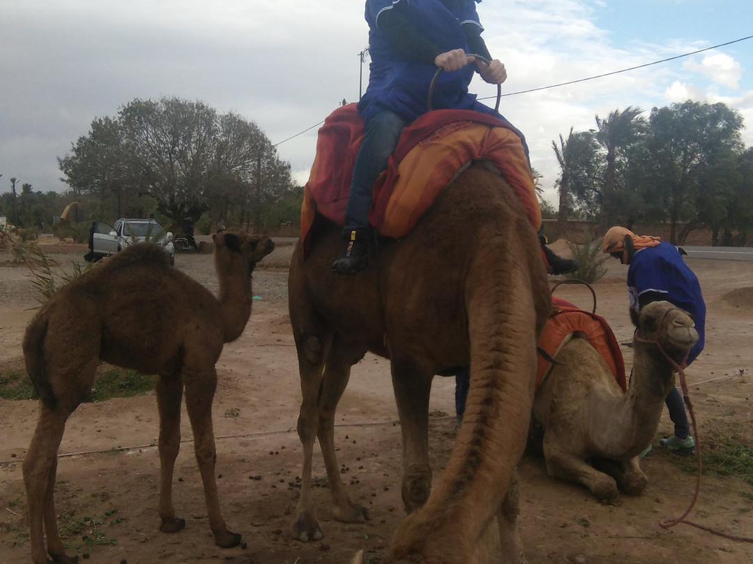 Atlas Mountain Excursions-Ait Azzi必去景点