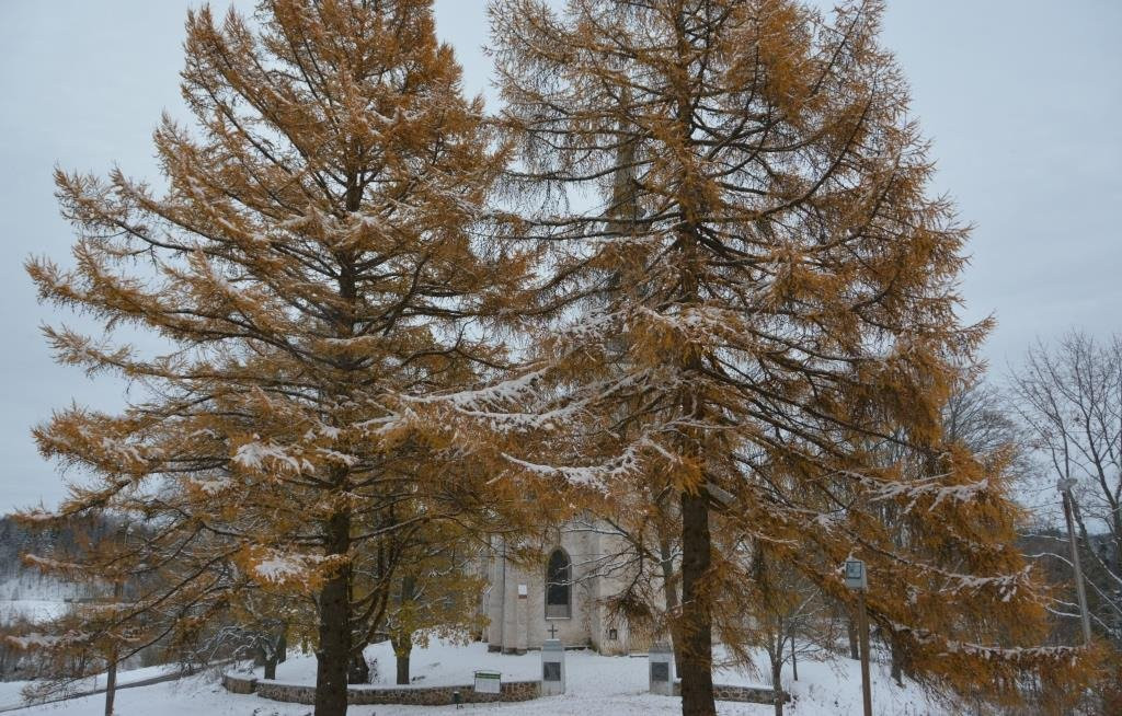 Otepaa Maarja Lutheran Church-Otepaa必去景点