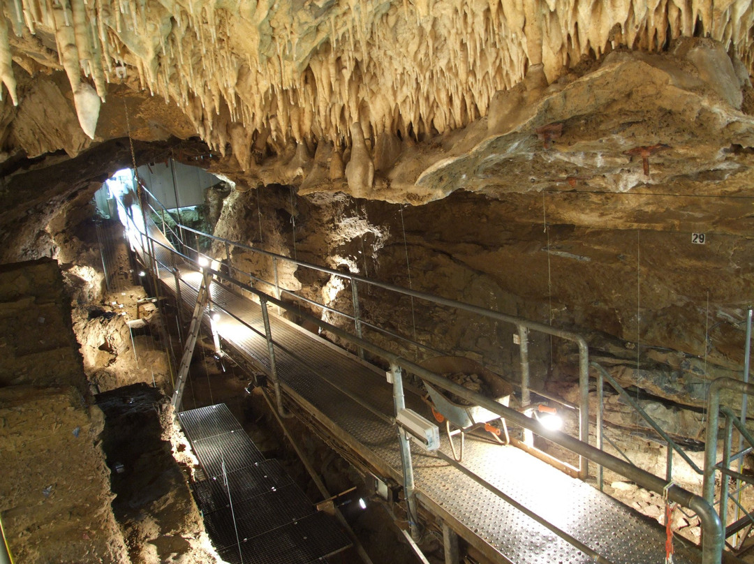 Grotte Scladina (Centre archéologique)景点图片