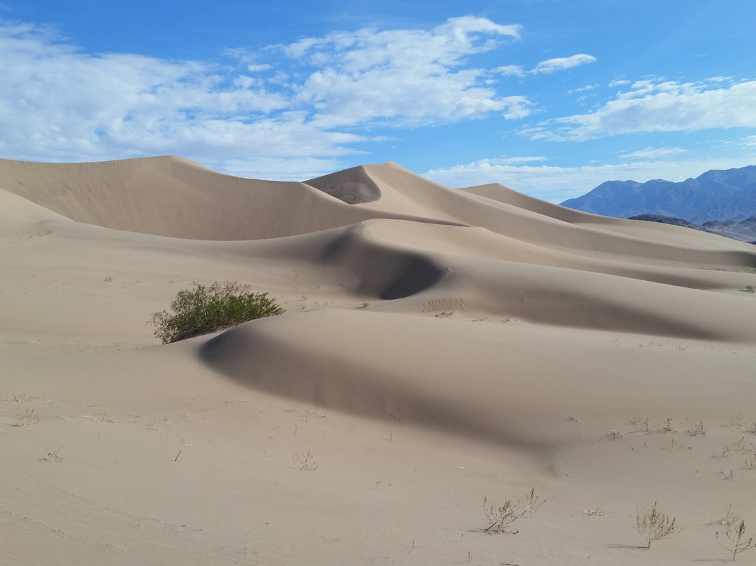 Ibex Dunes-Baker必去景点