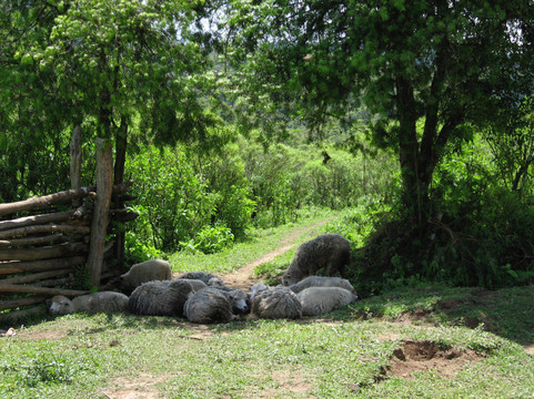 Reserva Nacional El Nogalar de Los Toldos-Los Toldos必去景点