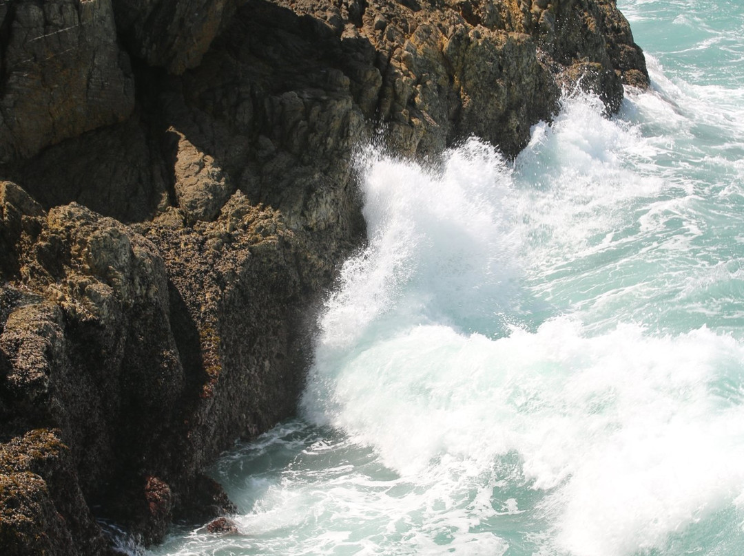 Kwaaiwater-赫曼努斯必去景点