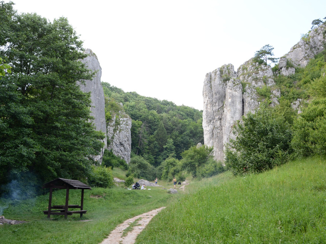 Bolechowicka Valley景点图片