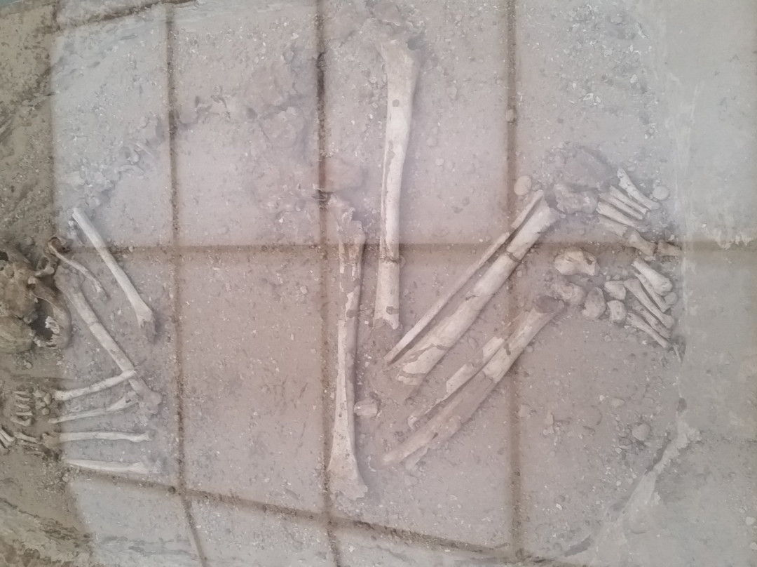 Archeological Museum Of Paphos District-帕福斯必去景点