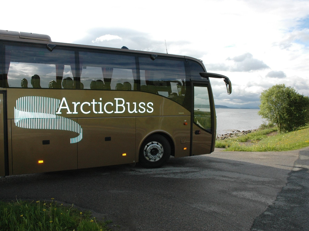 Arctic Buss景点图片
