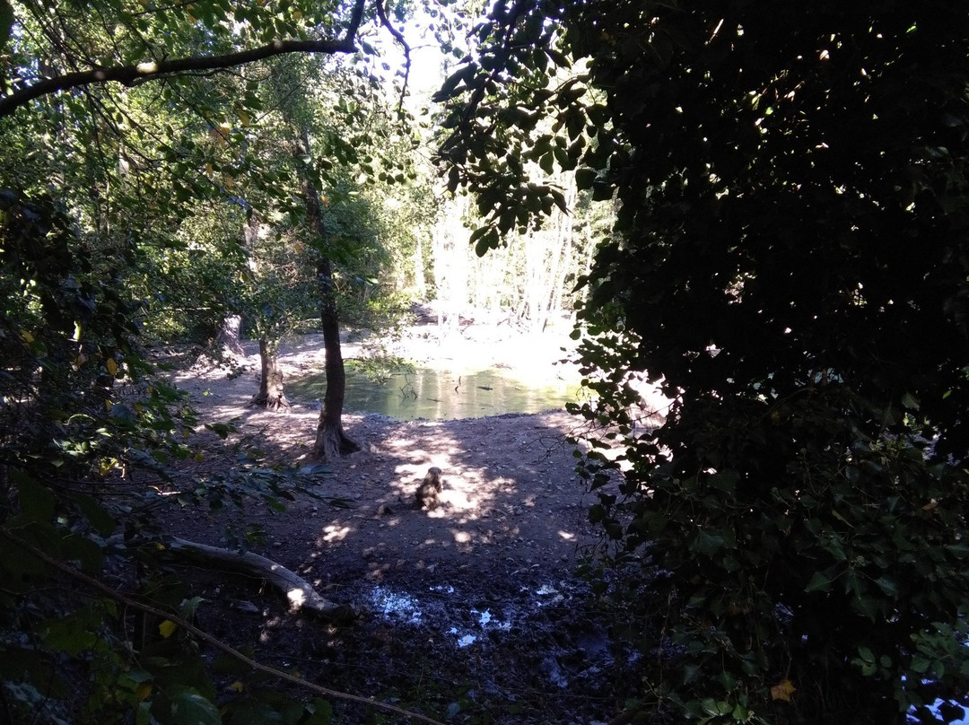 Brückenkopf-Park景点图片