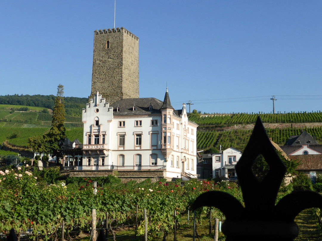 Rheingau Wine Museum Broemserburg Castle景点图片