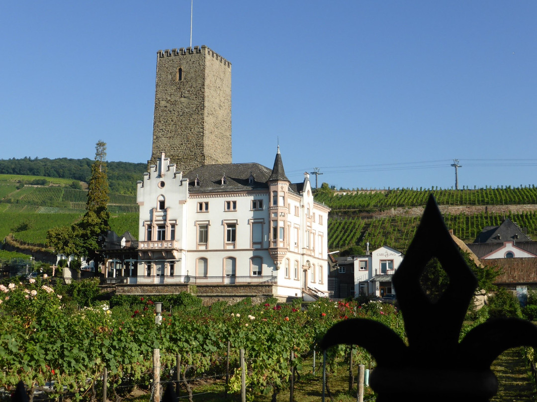 吕德斯海姆旅游景点-Rheingau Wine Museum Broemserburg Castle