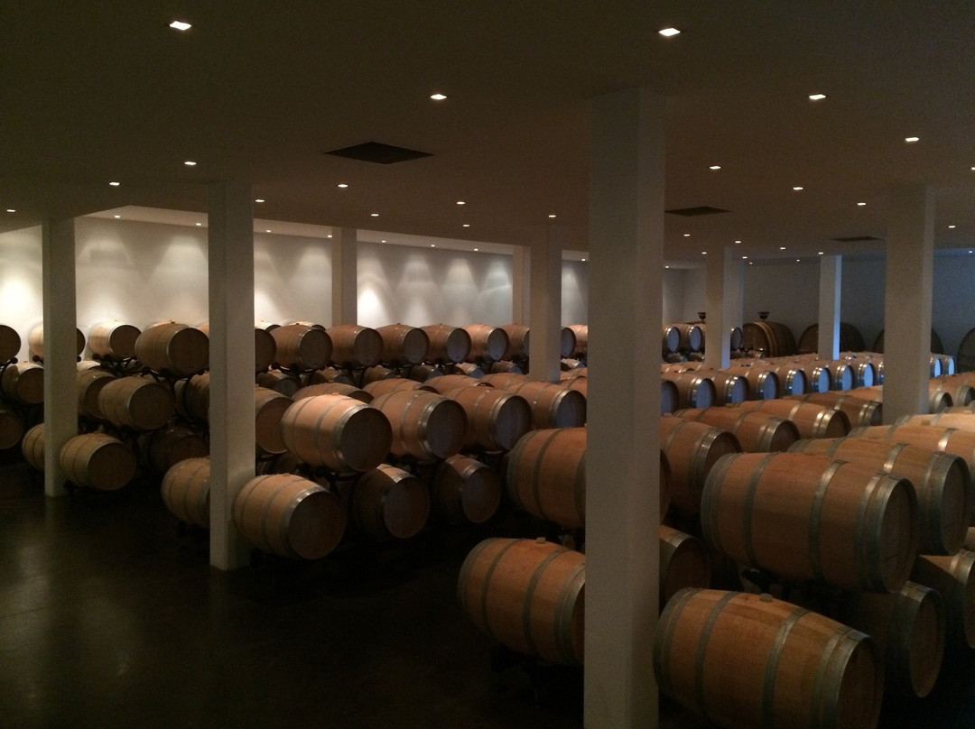 Château Larrivet Haut-Brion景点图片