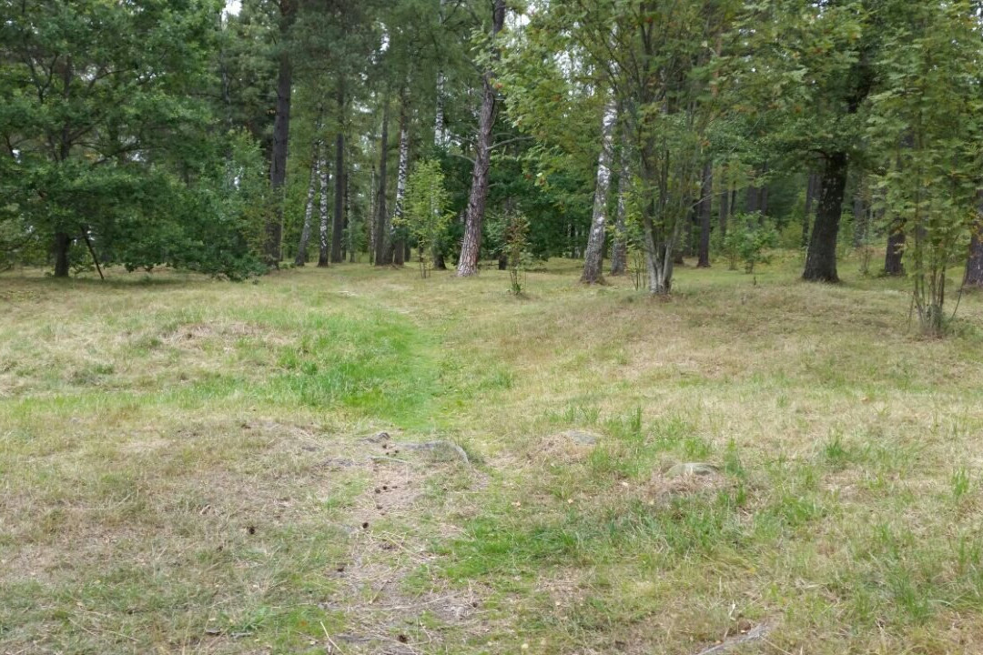 Söderby gravfält-Haninge必去景点