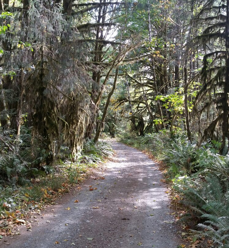 Nitinat River Provincial Park-Honeymoon Bay必去景点