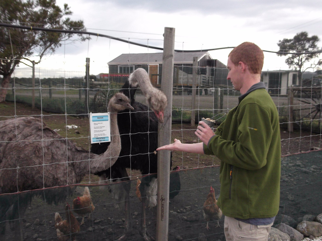 Fyffe View Ranch Adventure Park-Kaikoura必去景点