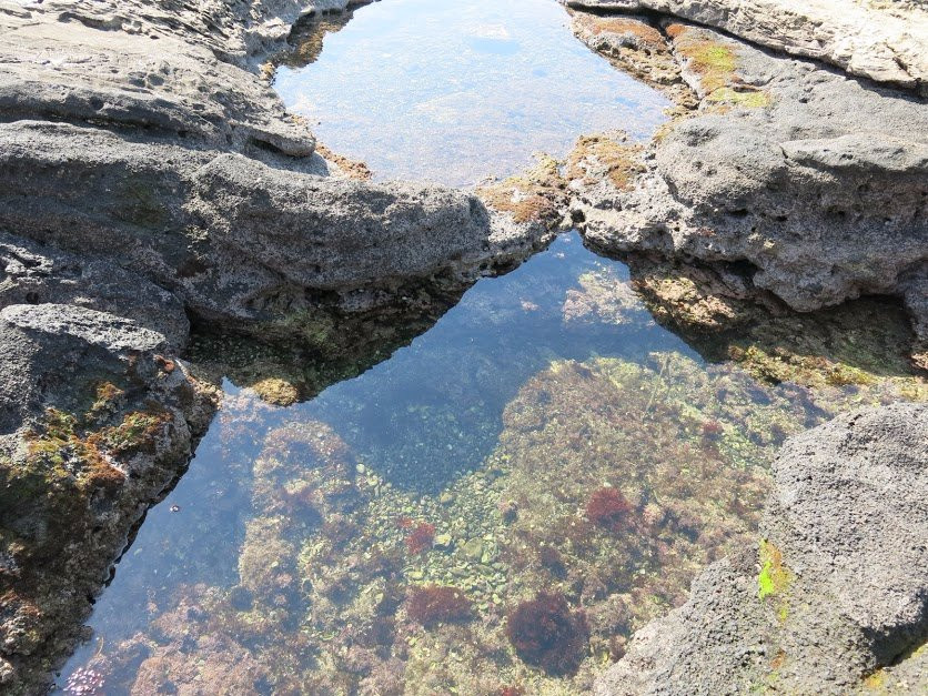 Moroiso Shores-三浦市必去景点