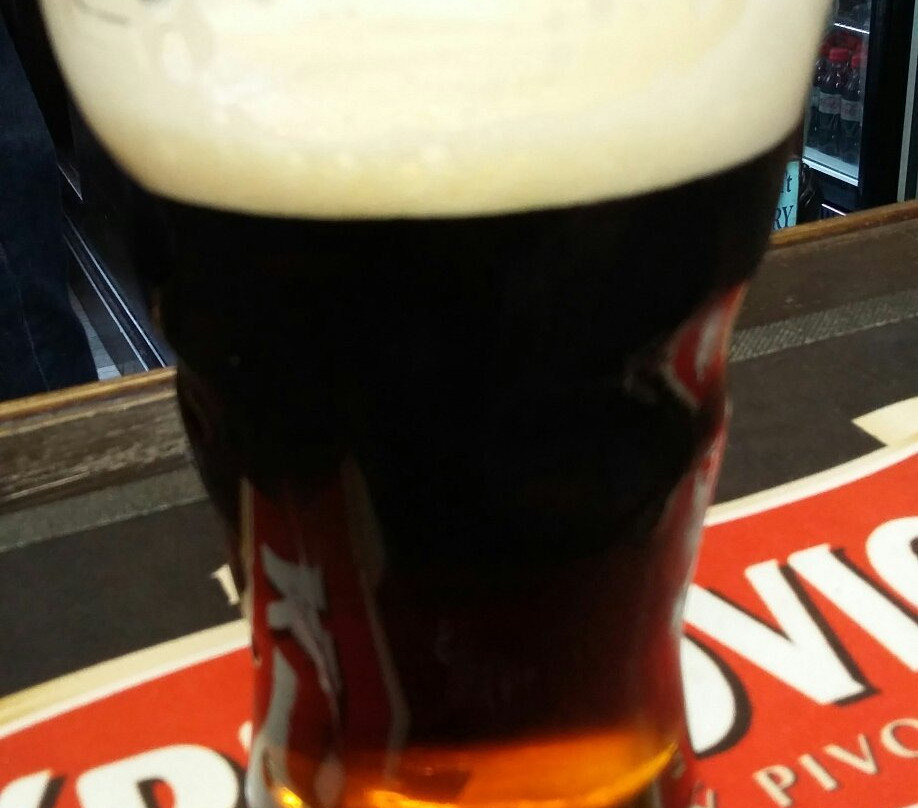 The Bob Inn-乔利必去景点