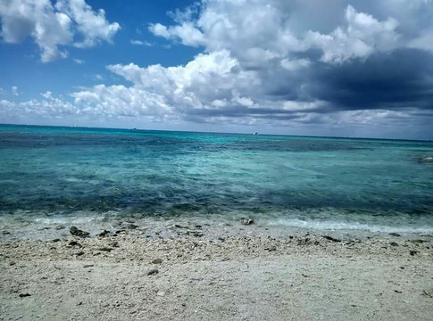 格列夫人岛-马斯格雷夫夫人岛必去景点