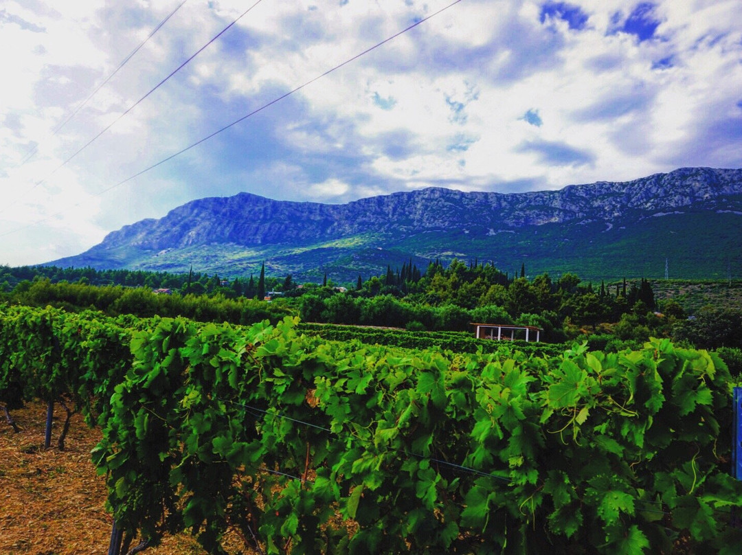 Putalj Wine景点图片