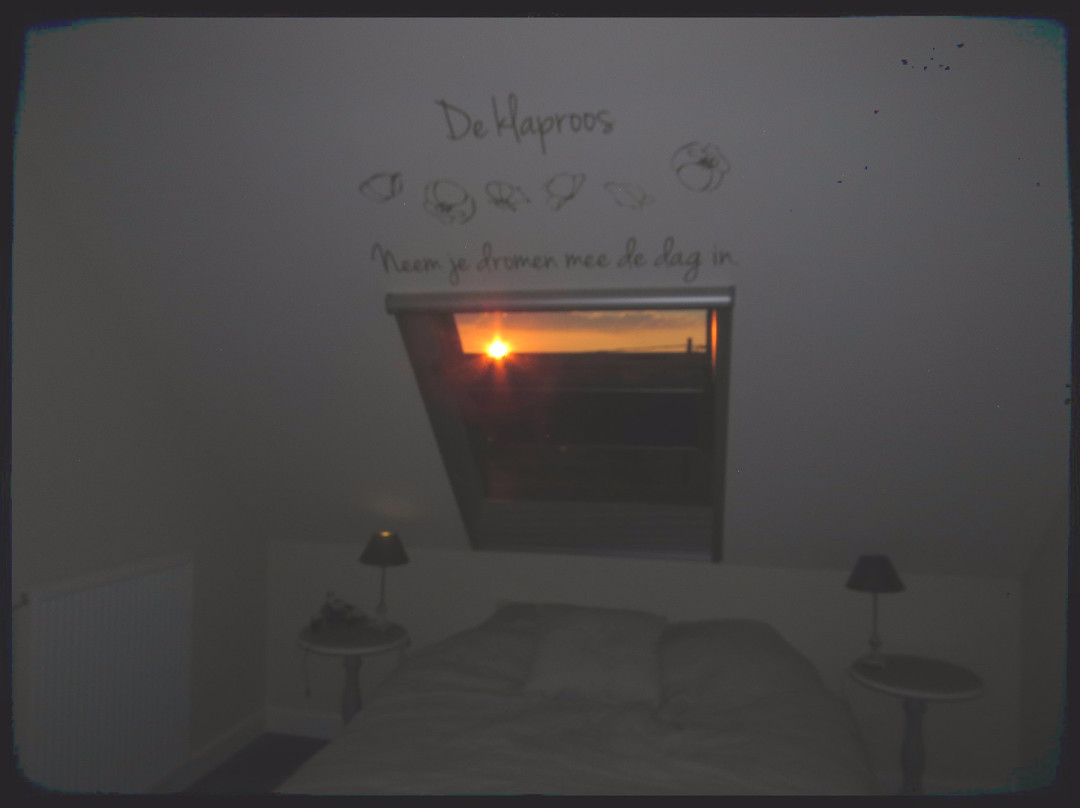 B&B In de velden主图