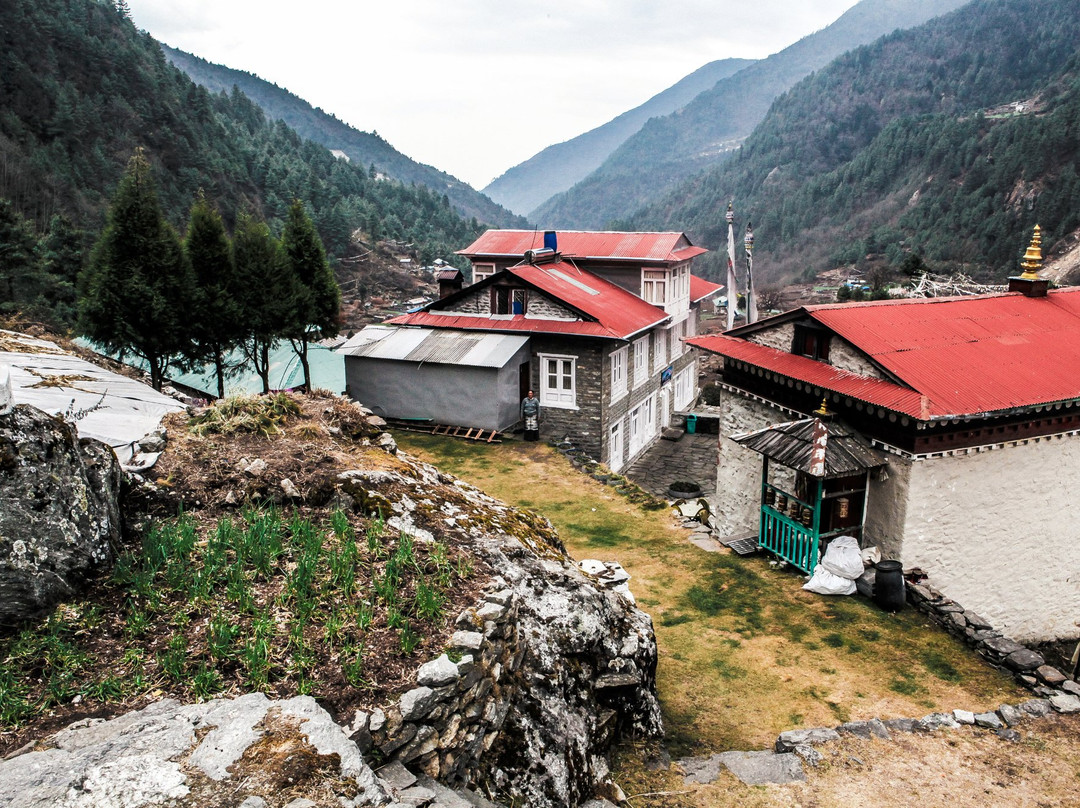 Lama Lodge and Homestay