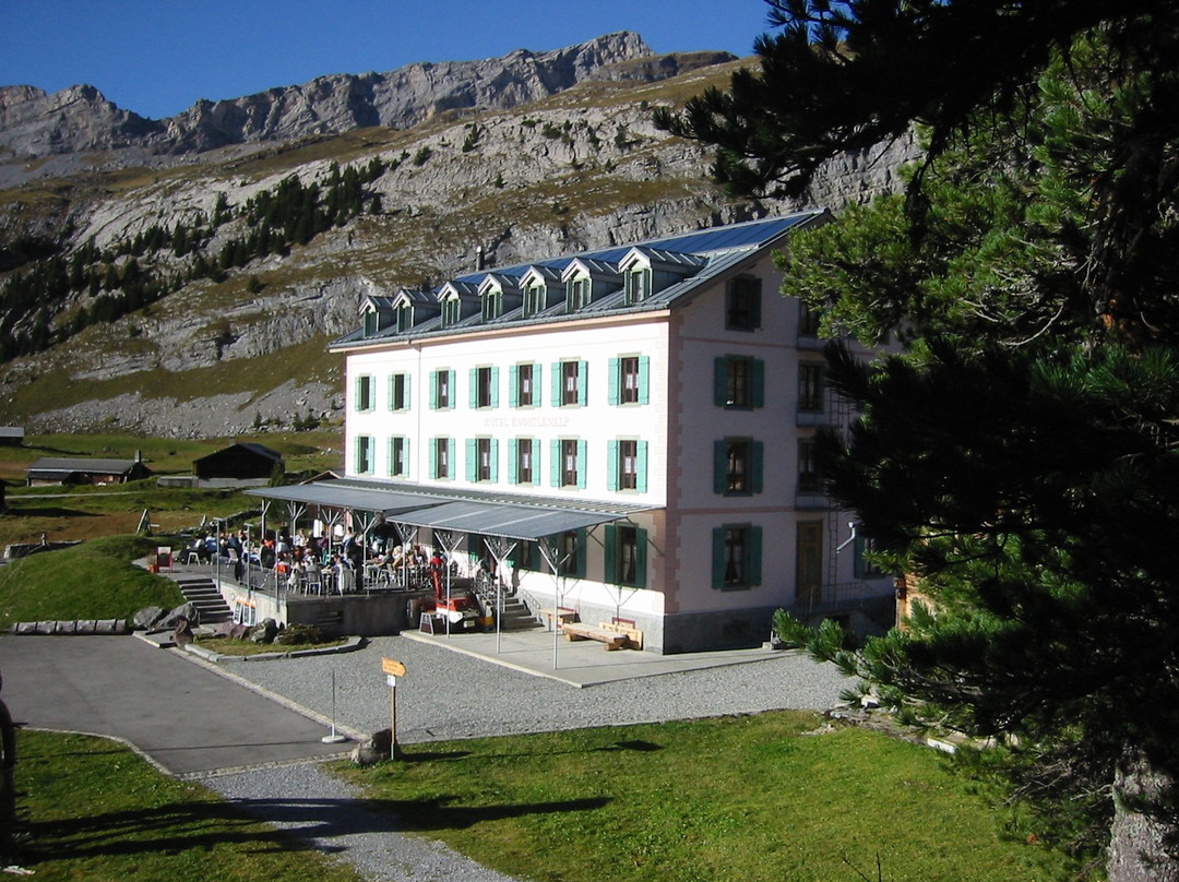 Melchsee-Frutt酒店住宿-Hotel Engstlenalp