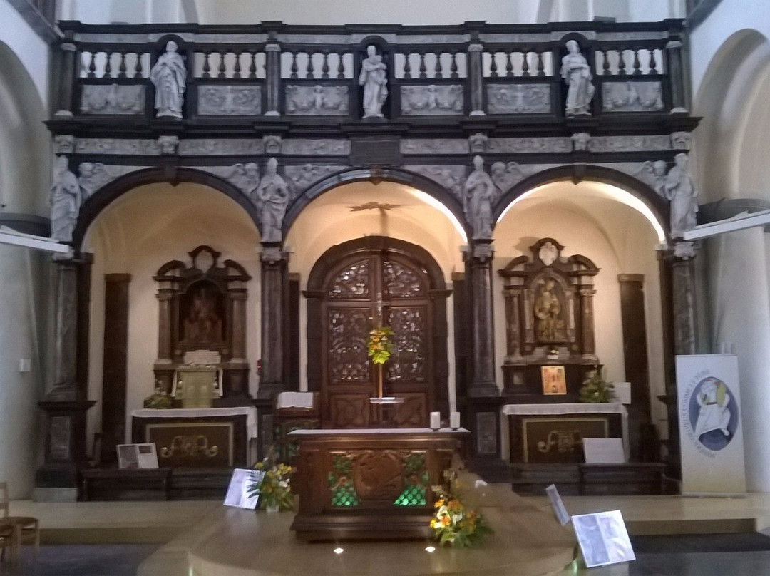 Collegiale Saint-Vincent de Soignies景点图片