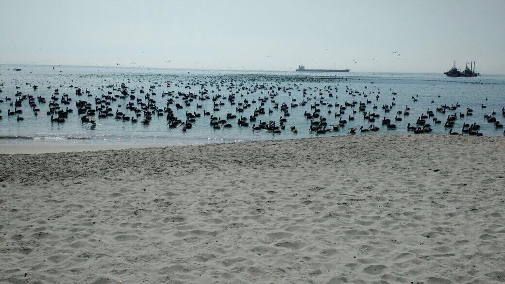 Hotel Mejillones主图