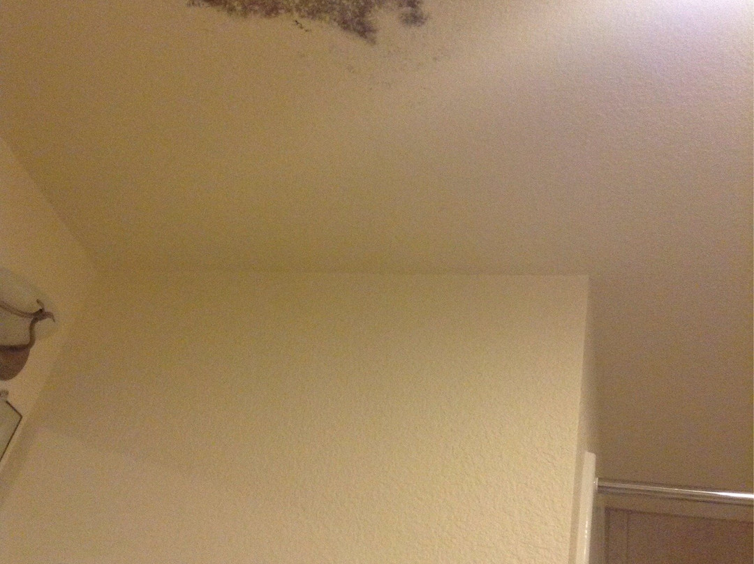 Sea Gull Motel主图