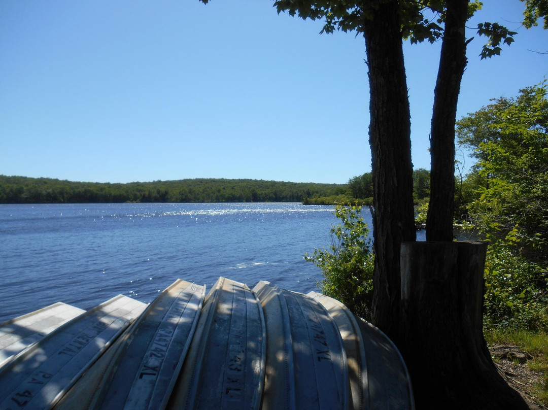 Gouldsboro State Park景点图片