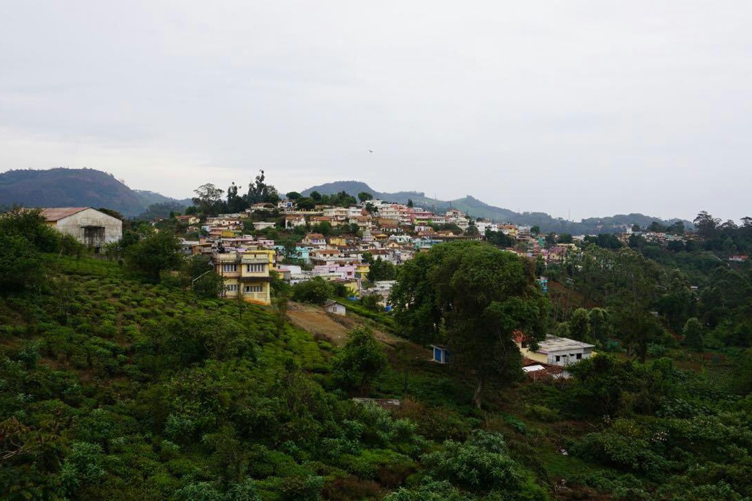 Bearcountry Resorts主图