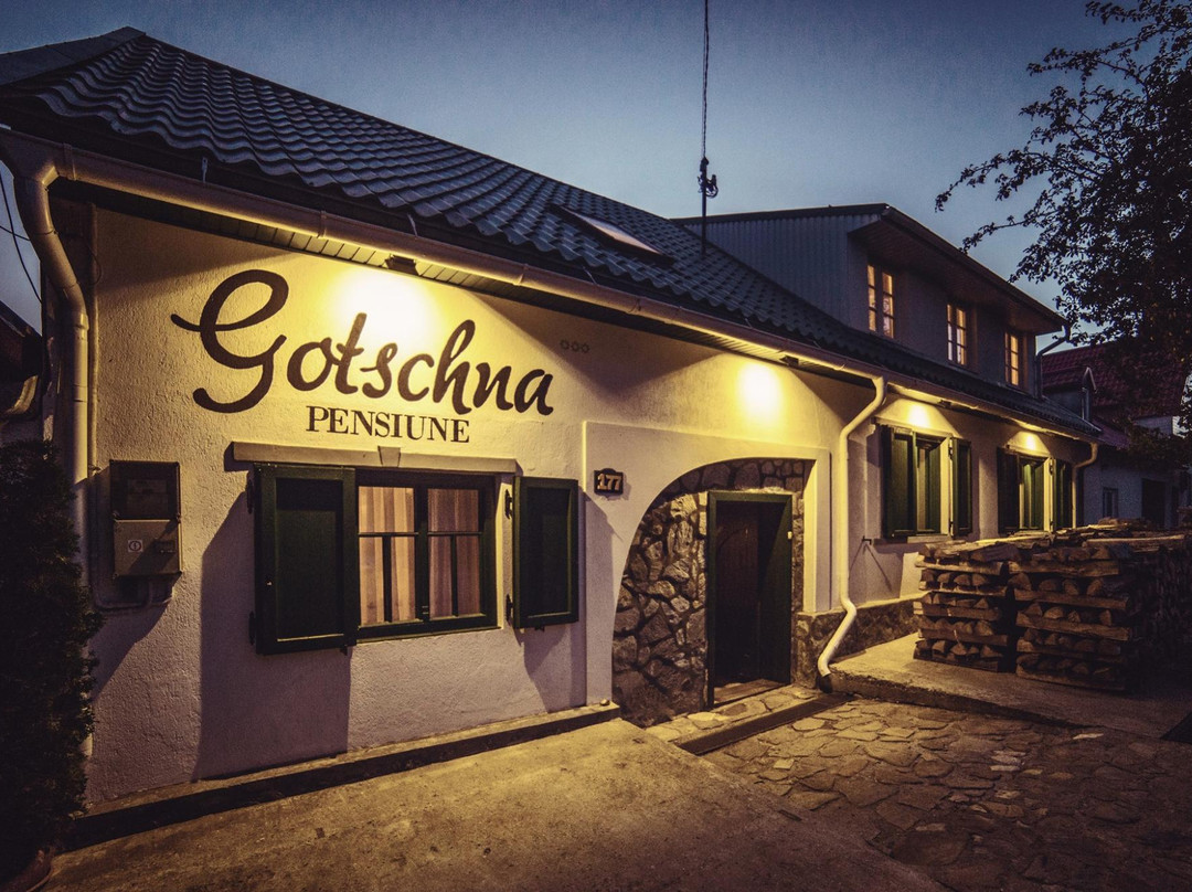 Pensiunea Gotschna主图
