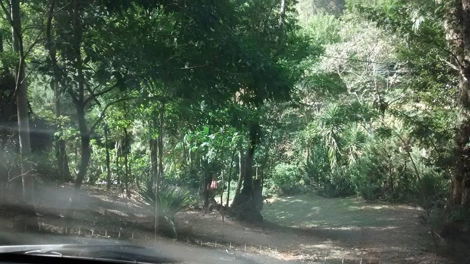 Caminho do Imperador-Paty do Alferes必去景点