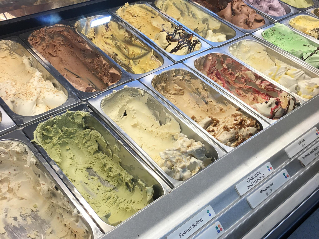 48 Flavours Gouger Street