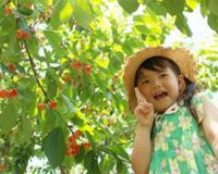 Ono Orchid & Orchard Garden景点图片