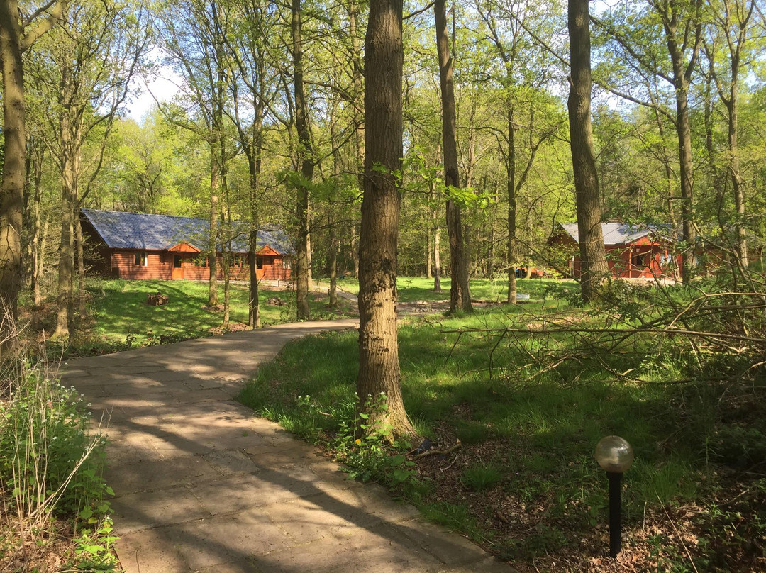 林地公园小屋假日公园