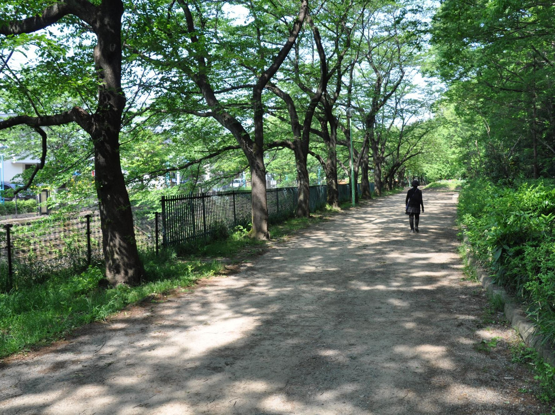 Oi Benten forest-富士见野市必去景点