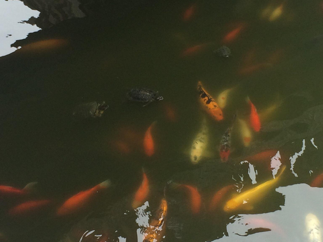 天津城隍庙-天津市必去景点