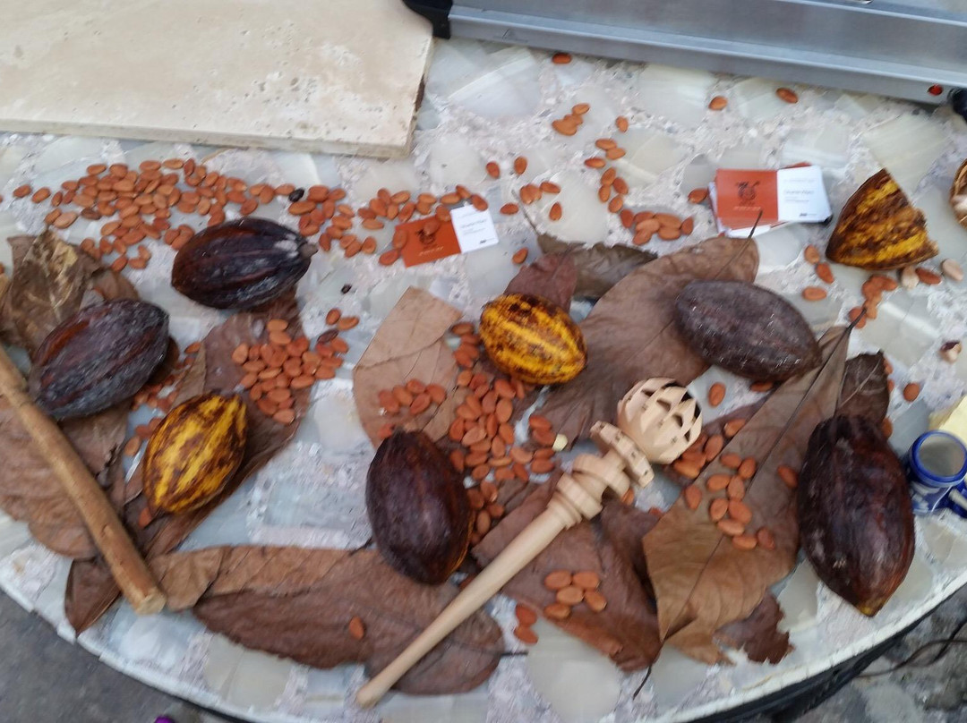 Culinarian Expeditions-佛罗伦萨必去景点