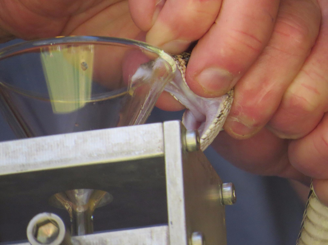 Kentucky Reptile Zoo-Slade必去景点