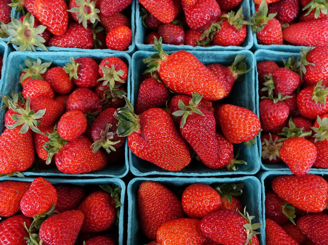 Corvallis Farmers' Market-科瓦利斯必去景点