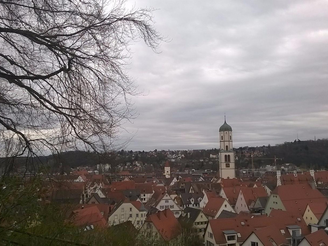 Weißer Turm-比伯拉赫（里斯）必去景点