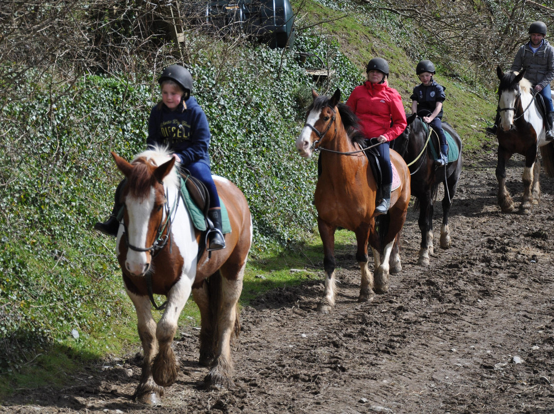 Kinsale Equestrian Centre景点图片