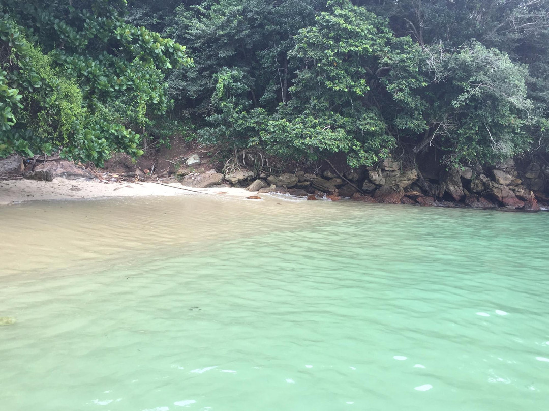 Baleia Beach景点图片