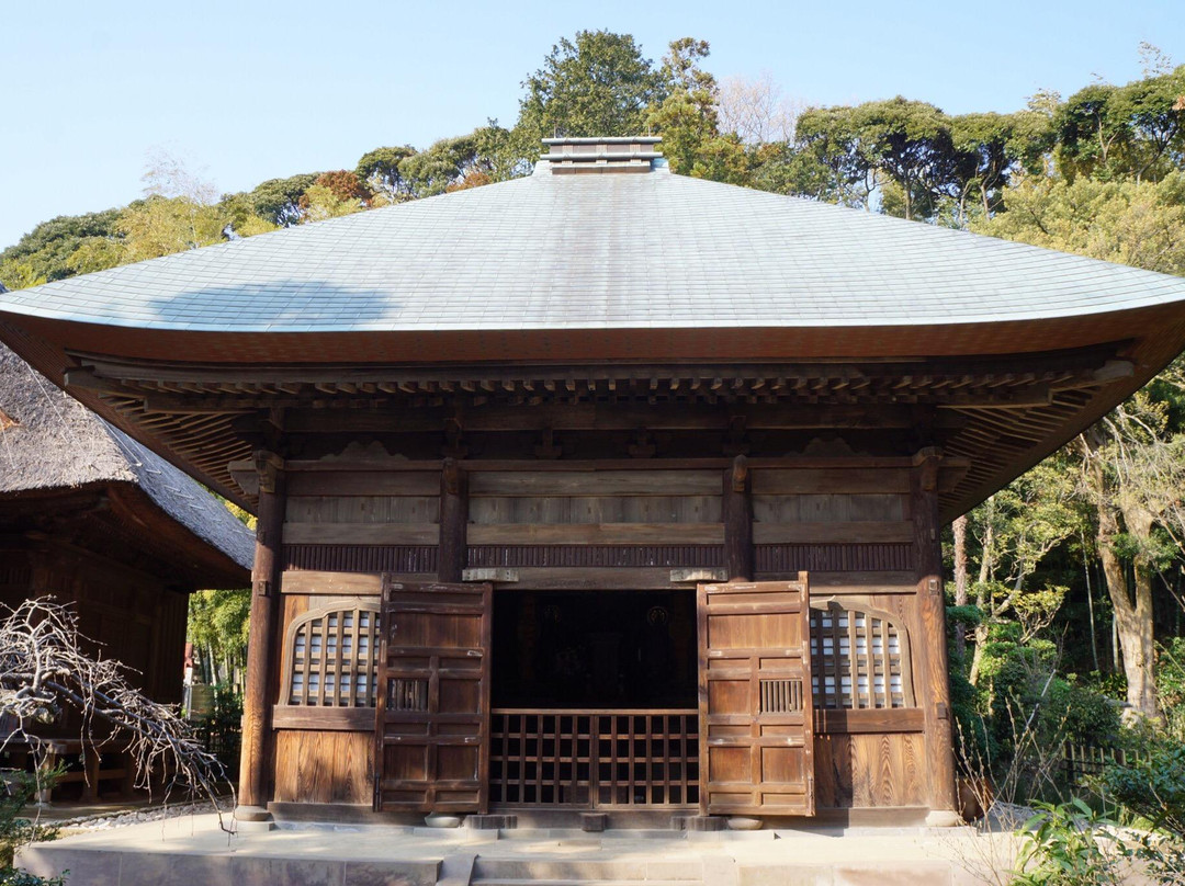 Jorakuji Temple-镰仓市必去景点