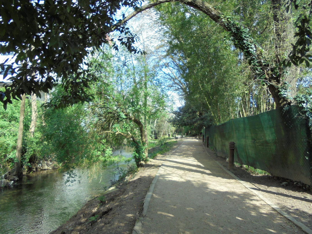 Paseo Fluvial del Rio Gafos景点图片