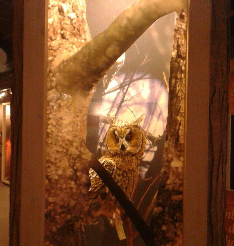 Museo delle Valli di Argenta景点图片