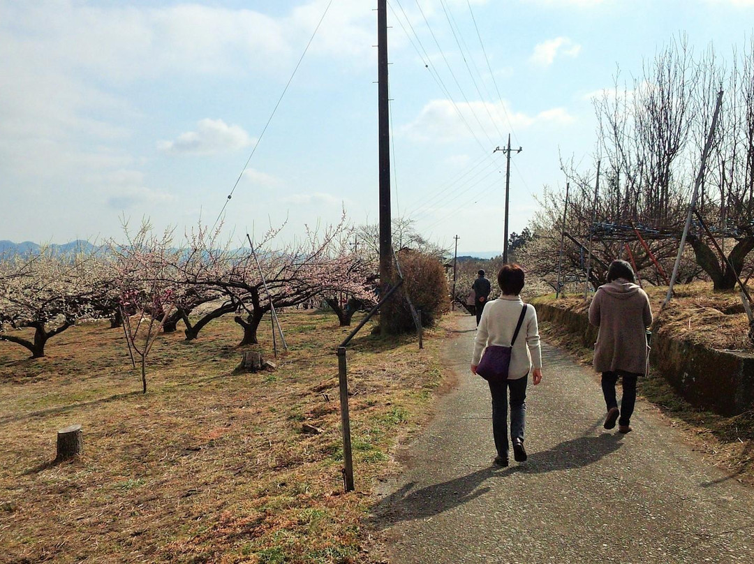 Akima Bairin-安中市必去景点