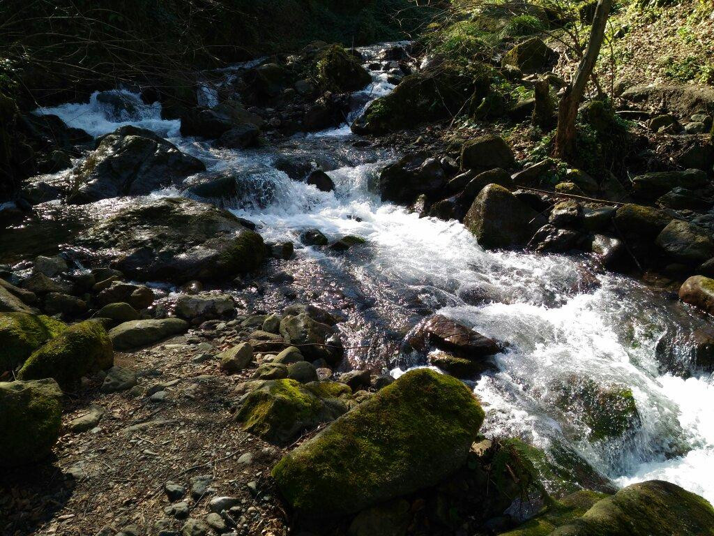 Sakarya旅游景点-Sakarya Park