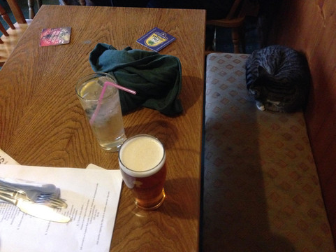 White Hart Tap-圣奥尔本斯必去景点